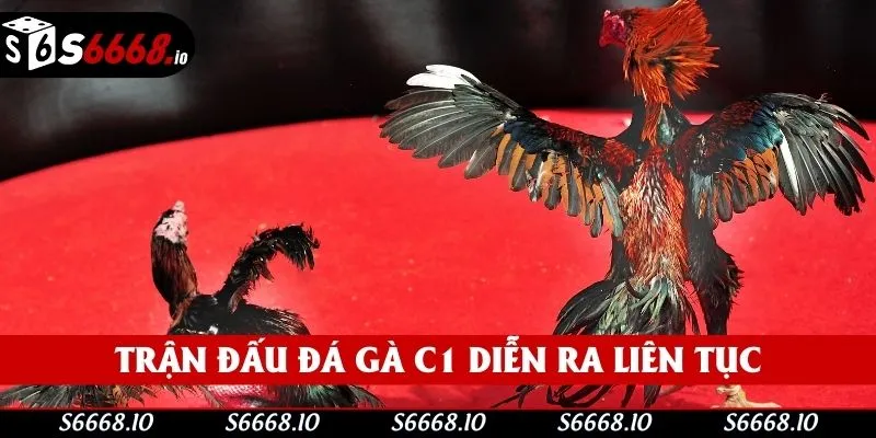 Thành viên được thoả mãn tham gia cá cược tại mọi thời điểm