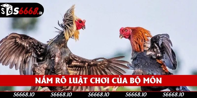 Nắm rõ luật chơi của bộ môn