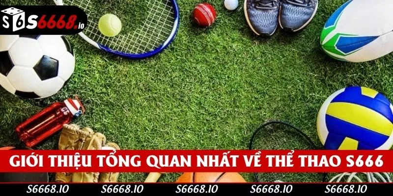 Giới thiệu tổng quan nhất về thể thao S666