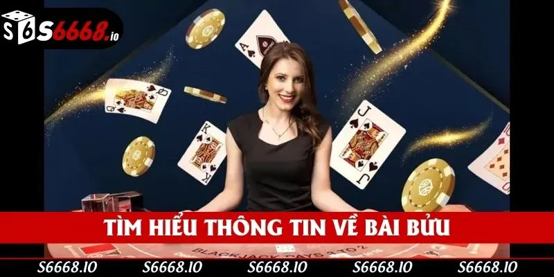 Tìm hiểu thông tin về bài bửu